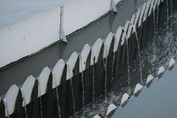 NEFCO’s Baltic Sea projects reduced the discharge of phosphorus by 1,000 tonnes last year. Photograph: Patrik Rastenberger