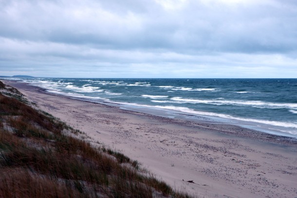 The nature protection area at the Curonian spit. Photograph: Patrik Rastenberger