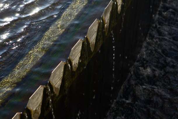 Cleaner water for Kaliningrad. Photo: Patrik Rastenberger
