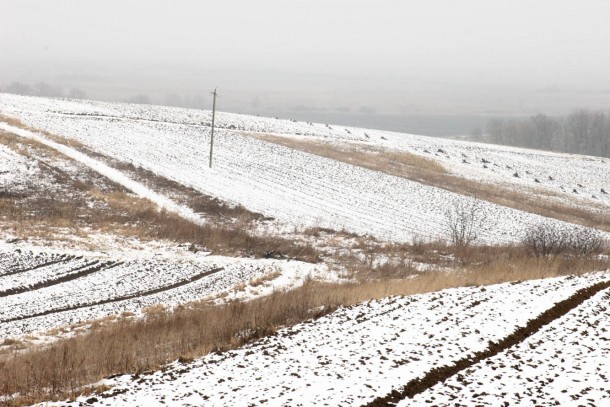 Frosty fields waiting for spring in Ukraine. Photo: Patrik Rastenberger