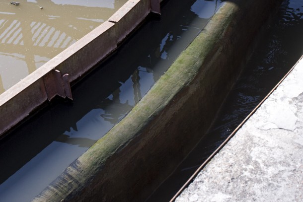 The project in Gatchina will reduce discharges of phosphorus by 25 tonnes per year. Photo: Patrik Rastenberger