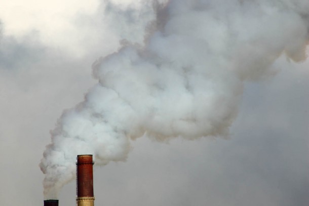 Combating climate change is one of NEFCO's priorities. Photo: Patrik Rastenberger