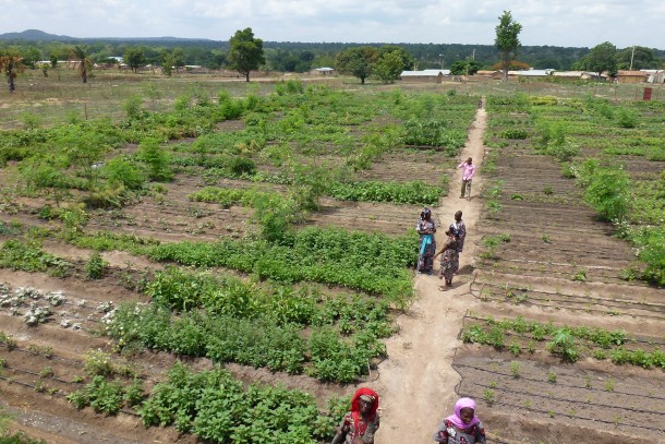 Solar powered irrigation enables farmers to produce food during dry periods. Photo: Robert Freling