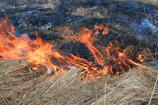 Burning of agricultural residues in Russia affects the Arctic. Photo: Colourbox
