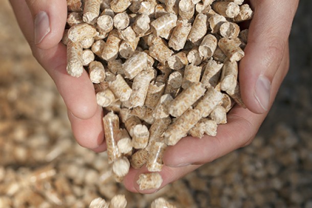 Wood pellets will be used at the new boiler unit in Myrne, Ukraine. Photo: Colourbox