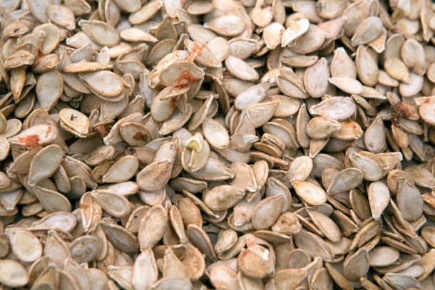 Agricultural residues, such as seeds, will be used as fuel for heating Pivdenagropererobka's premises in Myrne. Photo: Patrik Rastenberger