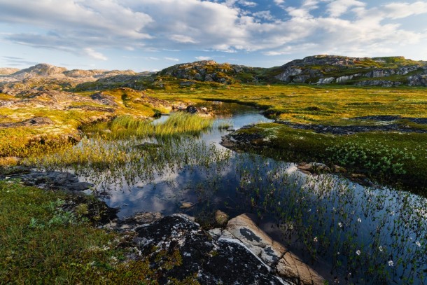 The Nemetskiy peninsula in the Barents Sea. Photo: Shutterstock