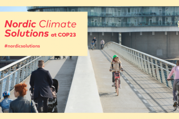 Nordic climate solutions at COP23 in Bonn. Photo: The Nordic Council of Ministers