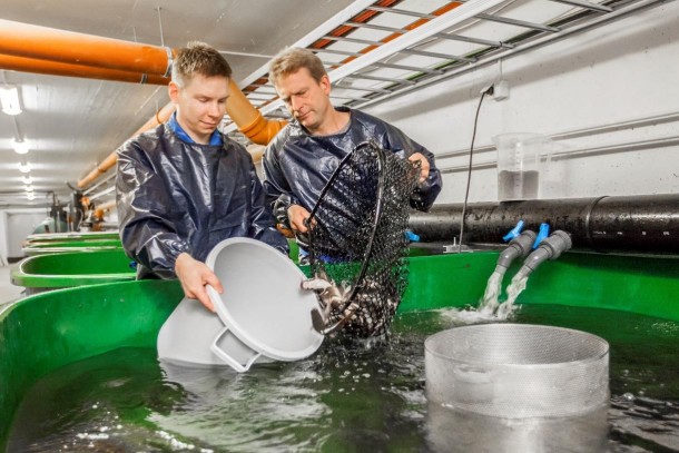 Aquaculture technology development at Clewer. Photo: Clewer Oy