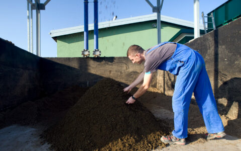 Picture of the feeder at Danosha pig farm