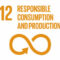 SDG 12 Responsible consumption and production