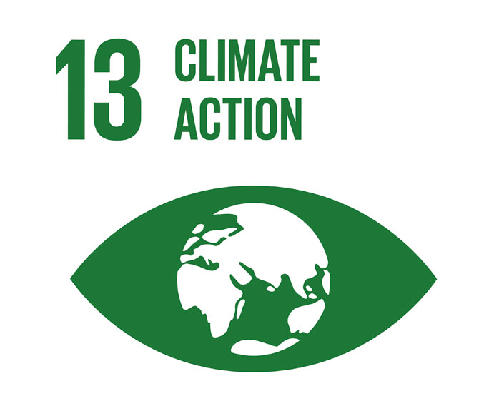 SDG 13 Climate action