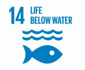 SDG 14 Life below water