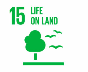 SDG 15 Life on land