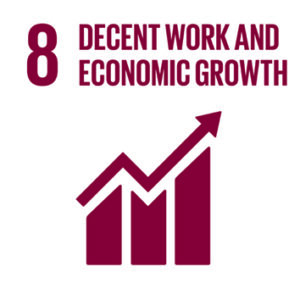 SDG8 Decent work and economic growth