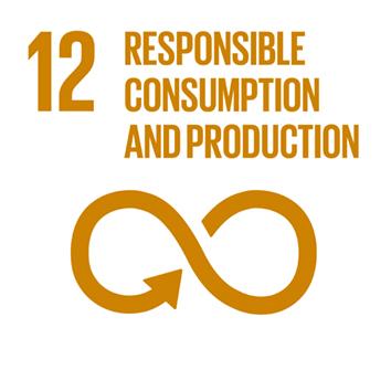 SDG12 Responsible consumption and production