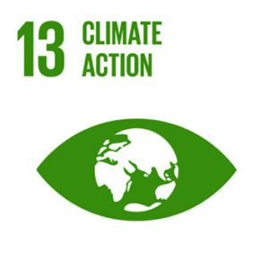 SDG13 Climate Action