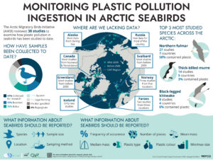 Arctic Council Infographics Plastics in seabirds