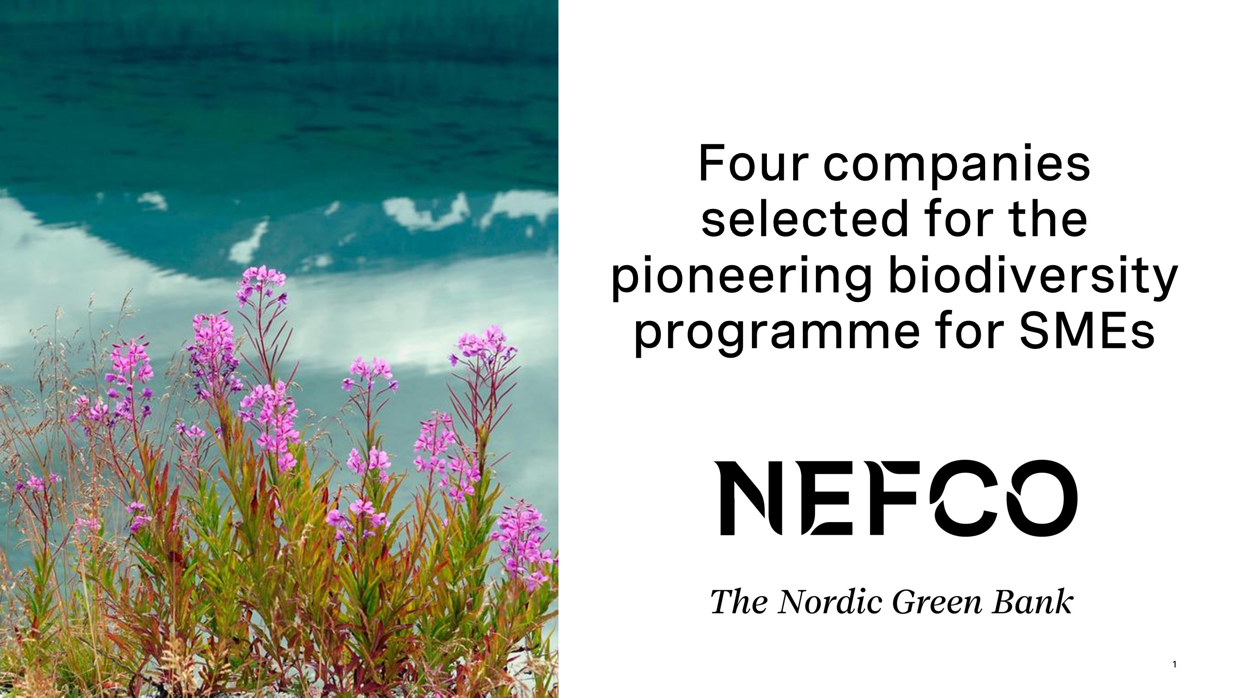 Four companies selected for the Biodiversity Pilot Programme Nefco