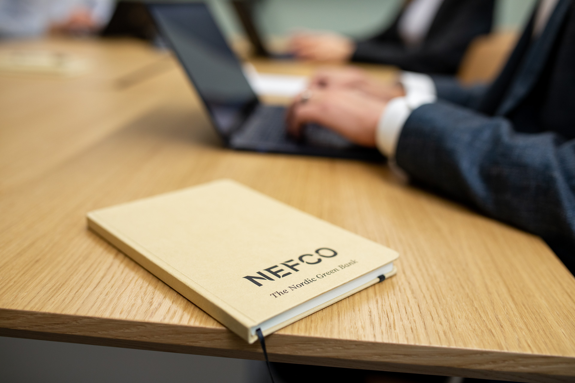 Green financing options Nefco