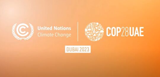 COP28 Article 6 event