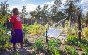Photo: A female farmer using a solar-powered irrigation system in Uganda – SunCulture