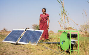 Female tomato farmer in Kabwe, Zambia, cultivating and irrigating the land with an off-grid solar-powered water pump.
