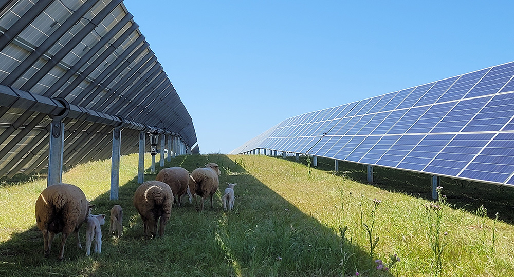 Korkia secures €5m to advance renewable energy projects