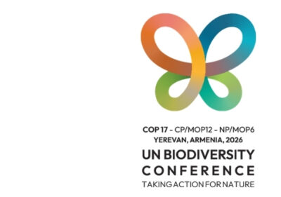 COP17 logo